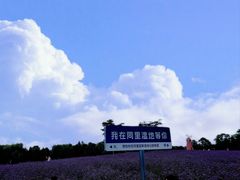 -同里国家湿地公园