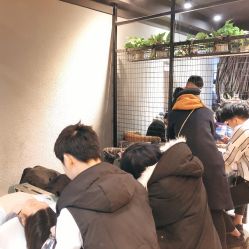 -藤野造型