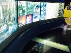 -上海昆虫博物馆