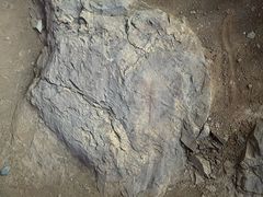 -中国第四纪冰川遗迹陈列馆