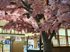 -大江户·温泉洗浴(浑南店)