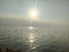 -大理洱海