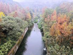 -重庆彩云湖湿地公园