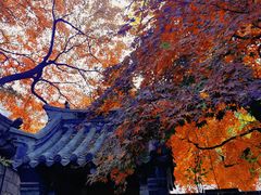 -青岛崂山太清宫