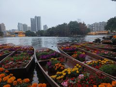 -荔湾湖公园