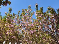 -长白岛森林公园