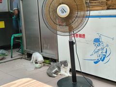 -清真·白家牛肉罩火烧老店(育才街店)