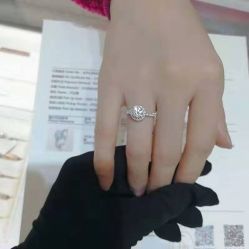 -DR钻戒(杭州星光大道店)