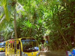 -海南分界洲岛旅游区