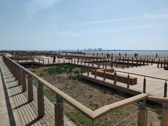 -东疆建设开发纪念公园