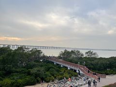 -宝安西湾红树林湿地公园