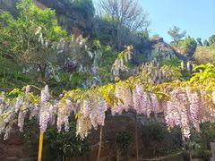 -金堂县云顶石城风景区