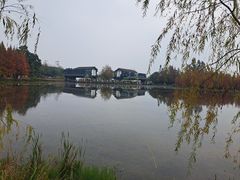 -白鹭湾湿地公园