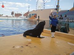 -秦皇岛乐岛海洋王国