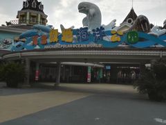 -海合安成都极地海洋公园