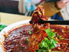 -胖大姐黄辣丁鱼庄(新津店)