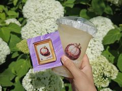 -LELECHA乐乐茶(王府井喜悦店)