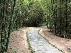 -开平碉楼文化旅游区马降龙景区