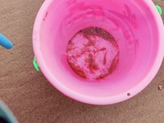 -青岛第三海水浴场