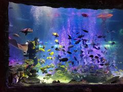 -沈阳海洋探索中心