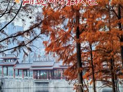 -重庆彩云湖湿地公园
