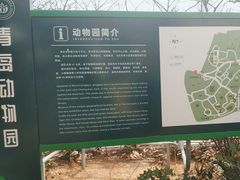 -青岛动物园