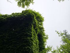 -日照海滨国家森林公园