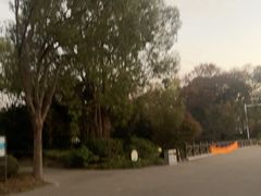 -上海海湾国家森林公园