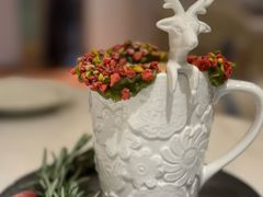 -伊斯坦布尔土耳其清真咖啡餐厅