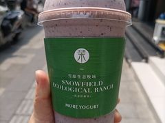 -茉酸奶(春熙路店)