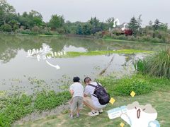 -桤木河湿地公园