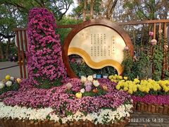 -上海共青森林公园