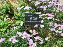 -东莞植物园
