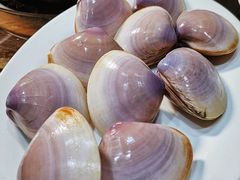 贵妃蚌-凯华海鲜火锅·传承三十六年