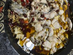 -金三可市井水煮鱼(金碧园店)