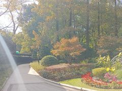 -徐家汇源景区-衡山公园