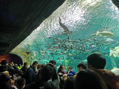 -波塞冬旅游度假区