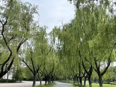 -东华大学(松江校区)