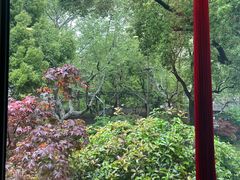 -申粤轩酒楼·三十年粤菜经典(丁香花园店)