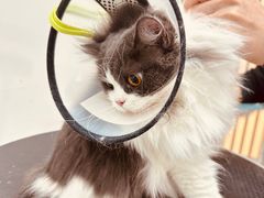 -1013 PET SHOP 宠物商店(近铁城市广场店)
