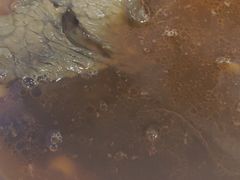 -光头卤(光谷创业街店)