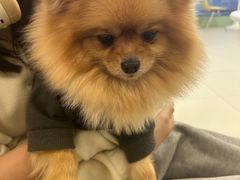 -怪兽屋·羊驼·猫咖·狗咖(俊华广场店)