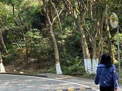 -火炉山森林公园