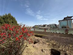 -党河风情线国家水利风景区