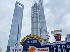 -陆家嘴中心绿地