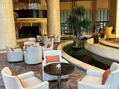 -新都绿城喜来登酒店大堂吧