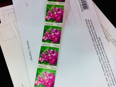 -槟城街头艺术街区