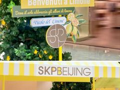 -北京SKP