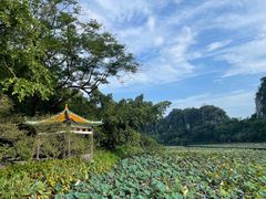 -星湖旅游景区七星岩