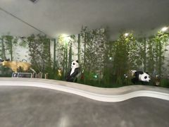-秦皇岛野生动物园